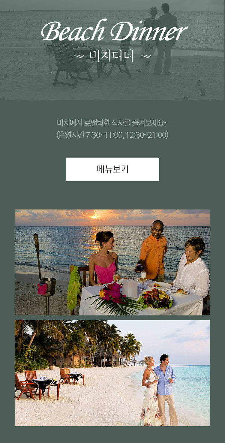 비치디너